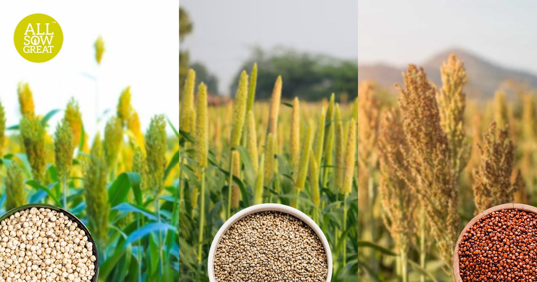 Millets and Digestive Health: Keeping Your Gut