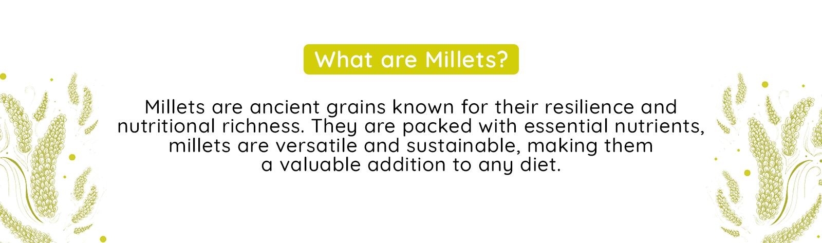 Information of millets Image