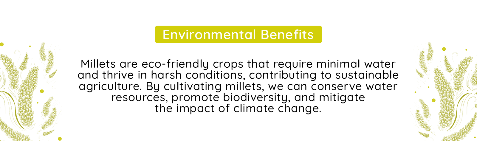 Environmental benefits of jowar, ragi and millets image